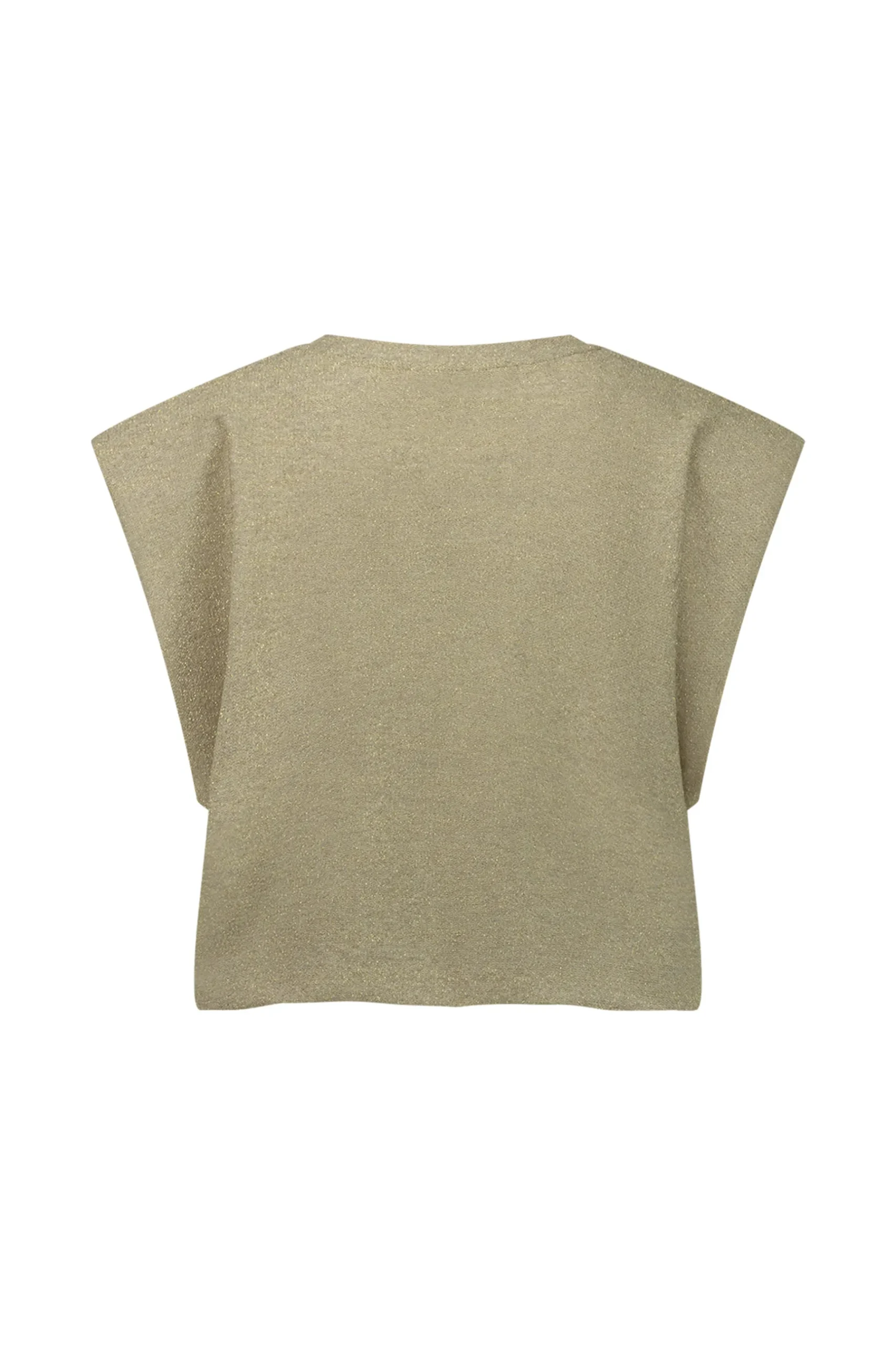 Minna glitter top -|Studio Anneloes Fashion